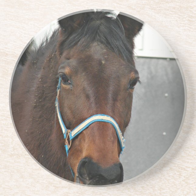 lycklig häst underlägg (Framsidan)