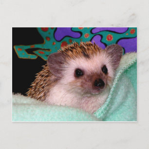 Lycklig Hedgehog Vykort
