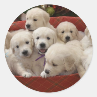 Lycklig Helgdag Golden Retriever-valpar Runt Klistermärke