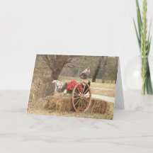 Lycklig Hen Helgdagars-kort