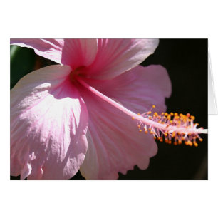 Lycklig hibiskus hälsningskort