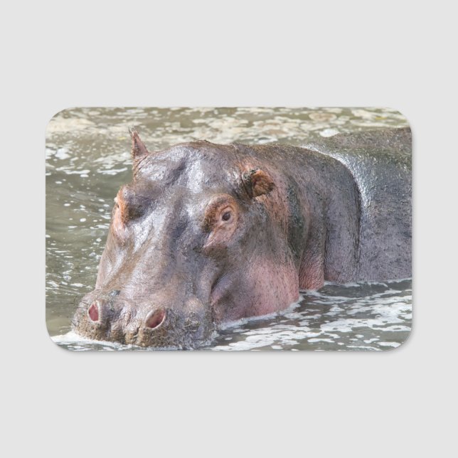 Lycklig Hippo Namnbricka (Framsida)