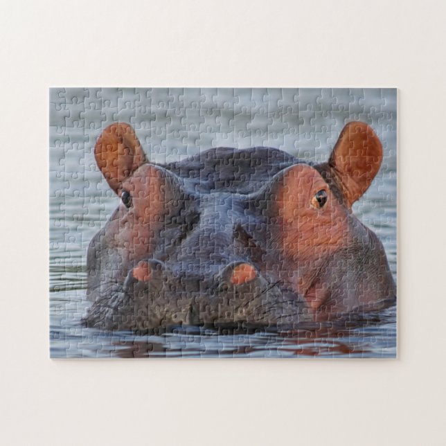 Lycklig Hippo Pussel (Horisontell)