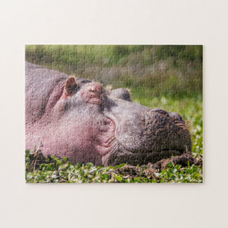 Lycklig Hippo Puzzle Pussel
