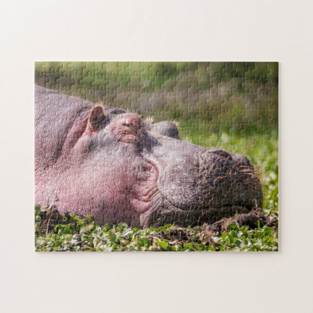 Lycklig Hippo Puzzle Pussel (Horisontell)