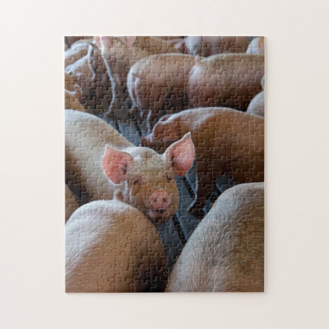 Lycklig Hogs på en Gris-gård Pussel (Vertikal)