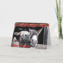 Lycklig Holibrays från Bunny och Hershey!