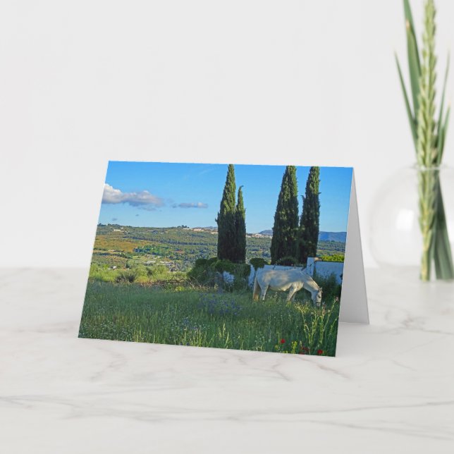 Lycklig Horse Kort (Framsida)