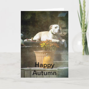 Lycklig Höst Hund på Porch Kort