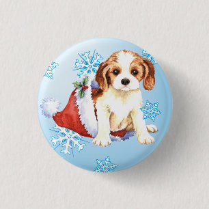 Lycklig Howliday Cavalier Knapp