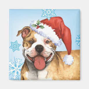 Lycklig Howliday Pit Bull Terrier Magnet