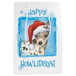 Lycklig Howlidays American Hairless Terrier