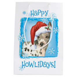Lycklig Howlidays American Hairless Terrier