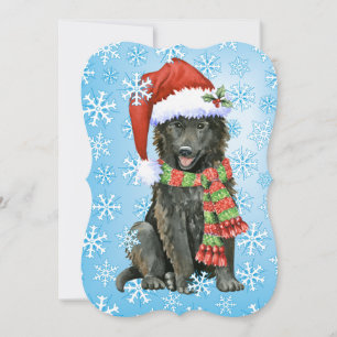 Lycklig Howlidays belgareSheepdog Julkort