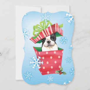 Lycklig Howlidays Boston Terrier Julkort
