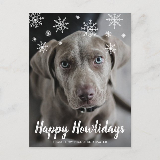 Lycklig Howlidays Chalk Snöflingor Photo Hund Helg Vykort (Framsida)