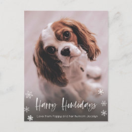 Lycklig Howlidays Dog Walker jul Vykort