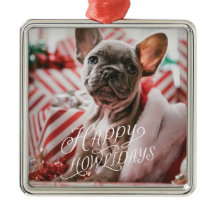 Lycklig Howlidays Hund Photo