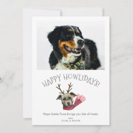Lycklig Howlidays | Pet-foto för Cute Puns-Hund Julkort