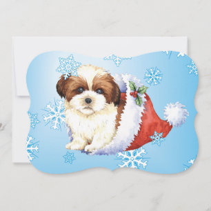 Lycklig Howlidays Shih Tzu Julkort
