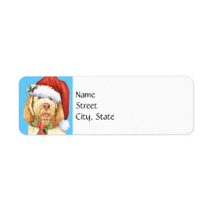 Lycklig Howlidays Spinone Italiano Address Label Returadress Etikett