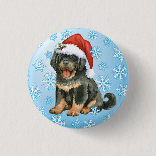Lycklig Howlidays tibetan Mastiff Knapp