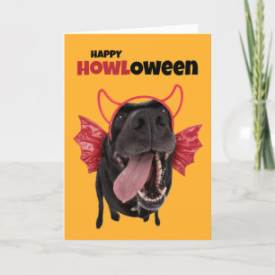 Lycklig HOWLoween Rolig hund i Halloween Costume Helgkort