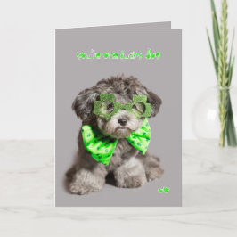 Lycklig hund för st patricks day kort