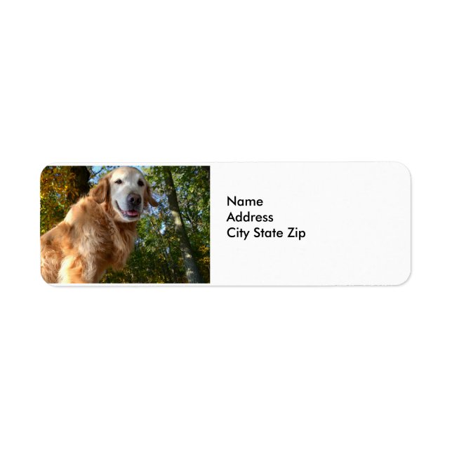 Lycklig Hund Golden Retriever/Returetiketter Returadress Etikett (Framsidan)