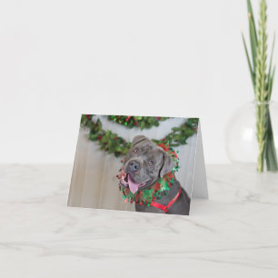 Lycklig Hund julkort Tack Kort