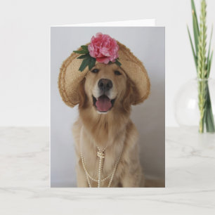 Lycklig Hund! Kort