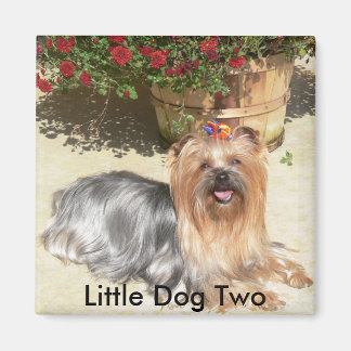 lycklig hund, Little Hund Two - Customized Magnet