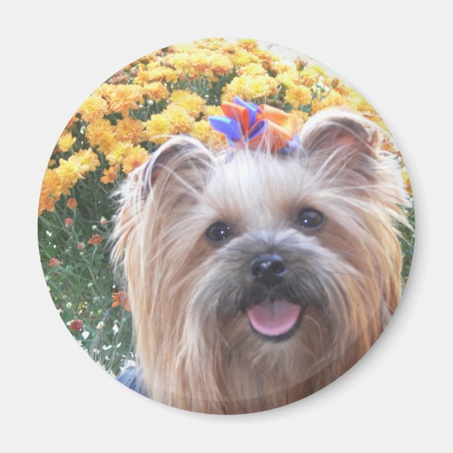 Lycklig Hund Magnet (Framsidan)