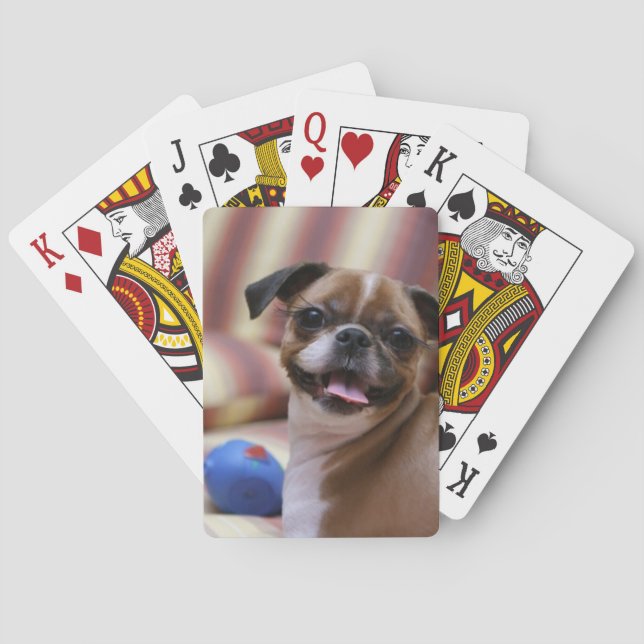 Lycklig Hund med Leksak Casinokort (Baksidan)