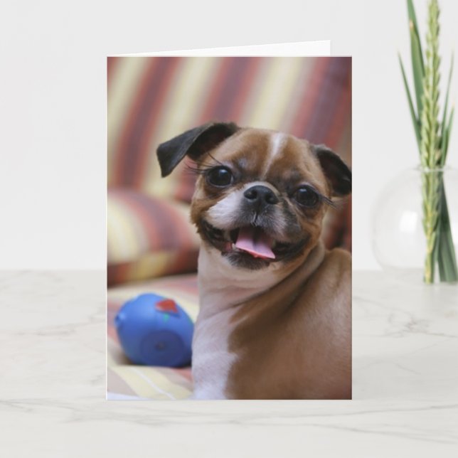 Lycklig Hund med Leksak Kort (Framsida)