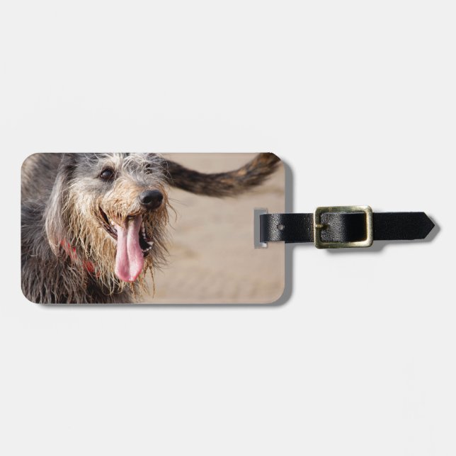 Lycklig hund på stranden bagagebricka (Horisontell Framsida)