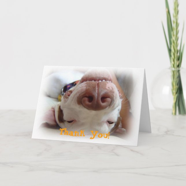 Lycklig Hund Tack (Framsida)