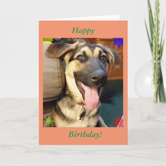 Lycklig Hund tyska shepherd Birthday Card Kort (Framsida)