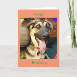 Lycklig Hund tyska shepherd Birthday Card Kort