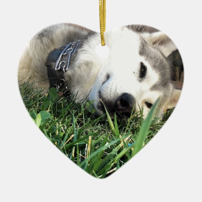 Lycklig Husky Julgransprydnad Keramik (Framsidan)