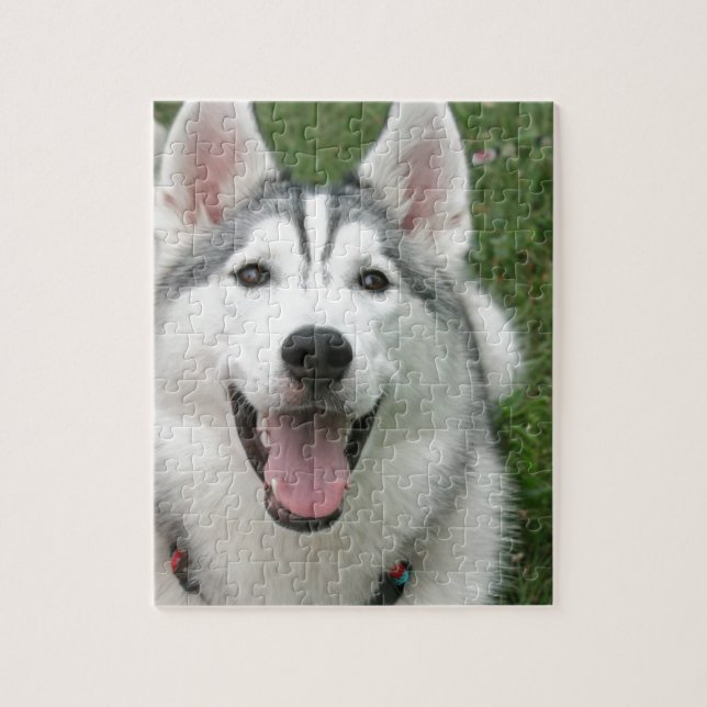 Lycklig Husky Pussel (Vertikal)