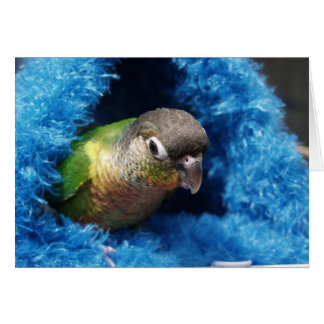 lycklig hut hälsningskort