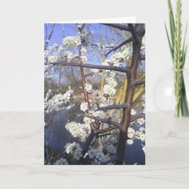 Lycklig Imbolc (Svarthavsborre blommarna) Kort (Framsida)