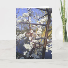 Lycklig Imbolc (Svarthavsborre blommarna) Kort