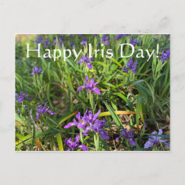 Lycklig Iris-dagen! Vykort