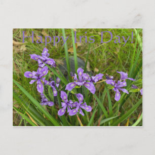 Lycklig Iris-dagen! Vykort