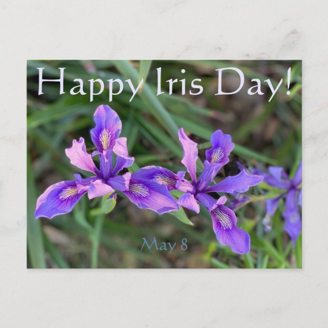 Lycklig Iris-dagen! Vykort (Framsida)