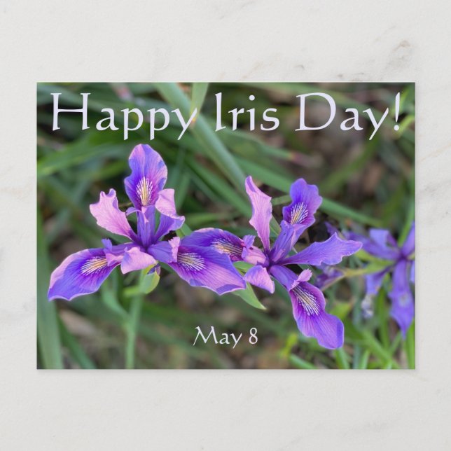 Lycklig Iris-dagen! Vykort (Framsida)