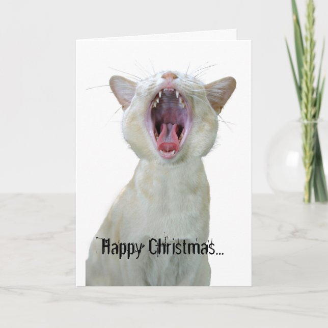 Lycklig jul till alla coola katter där ute! helgkort (Framsida)