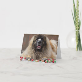 lycklig kaka Leonberger Helgkort
